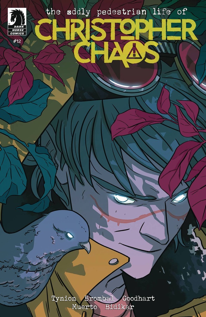 The Oddly Pedestrian Life of Christopher Chaos #12 (Cover B Annie Wu)